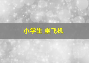 小学生 坐飞机